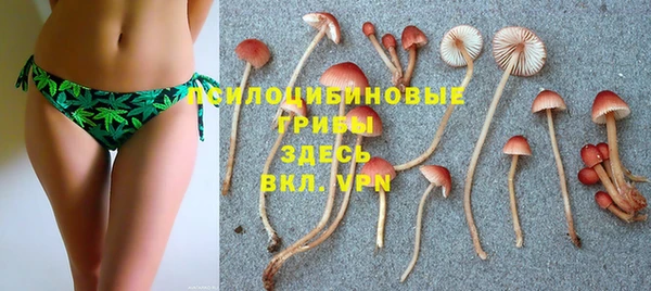 mix Мегион