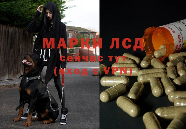 марихуана Михайлов
