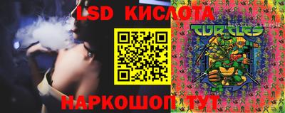 индика Заволжье