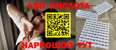 индика Заволжье