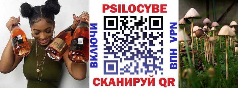 Псилоцибиновые грибы мицелий  Хабаровск 