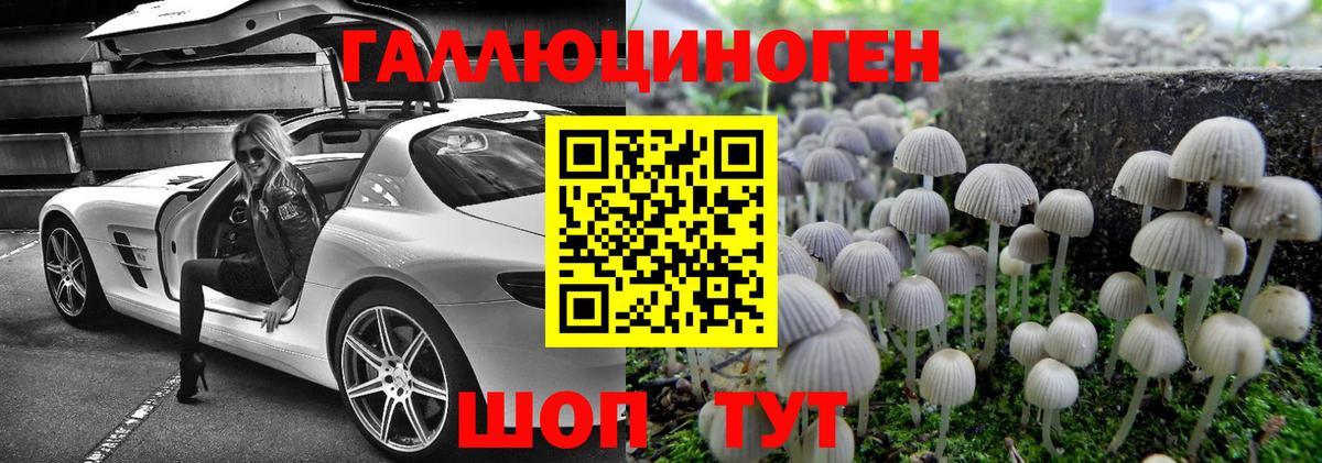 Галлюциногенные грибы Psilocybe Хабаровск